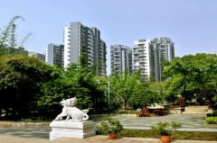 <b>绿色家园</b>